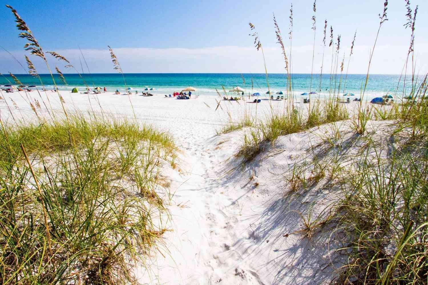 Seas The Day Home Santa Rosa Beach Exteriör bild